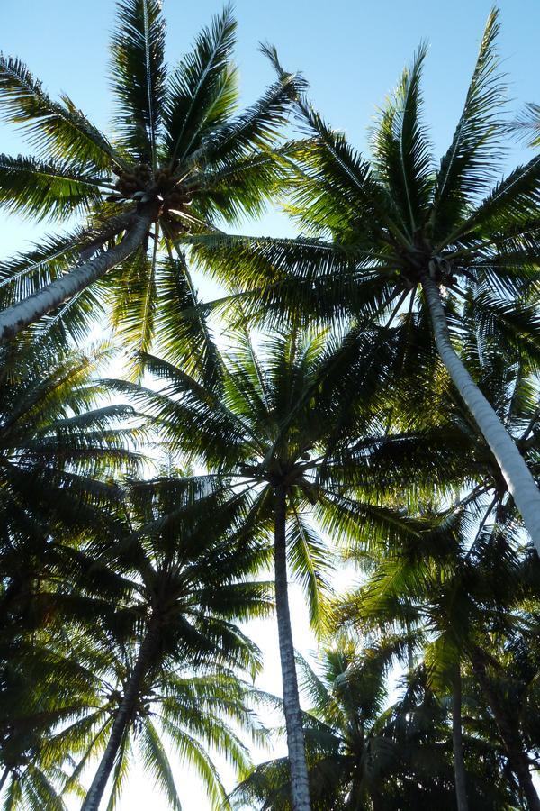 Kadidiri Paradise Batudaka المظهر الخارجي الصورة